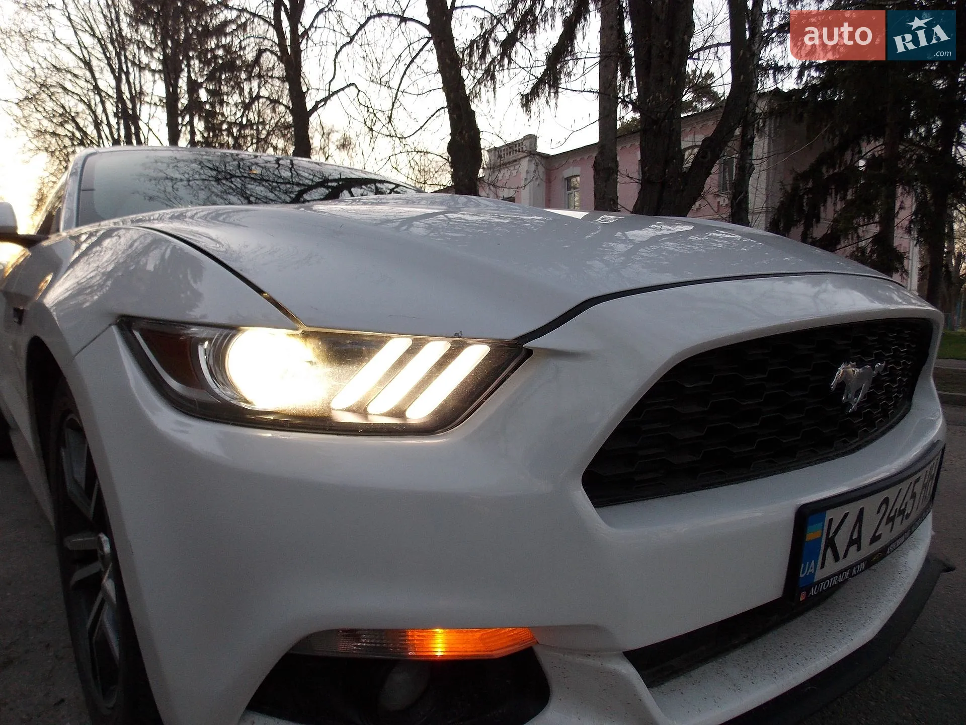 2015 Ford Mustang - мініатюра 14