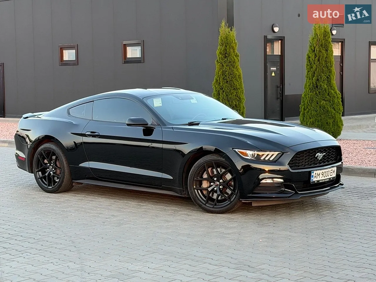 2016 Ford Mustang - мініатюра 29