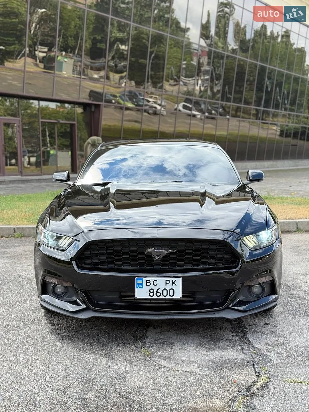 2014 Ford Mustang - мініатюра 6