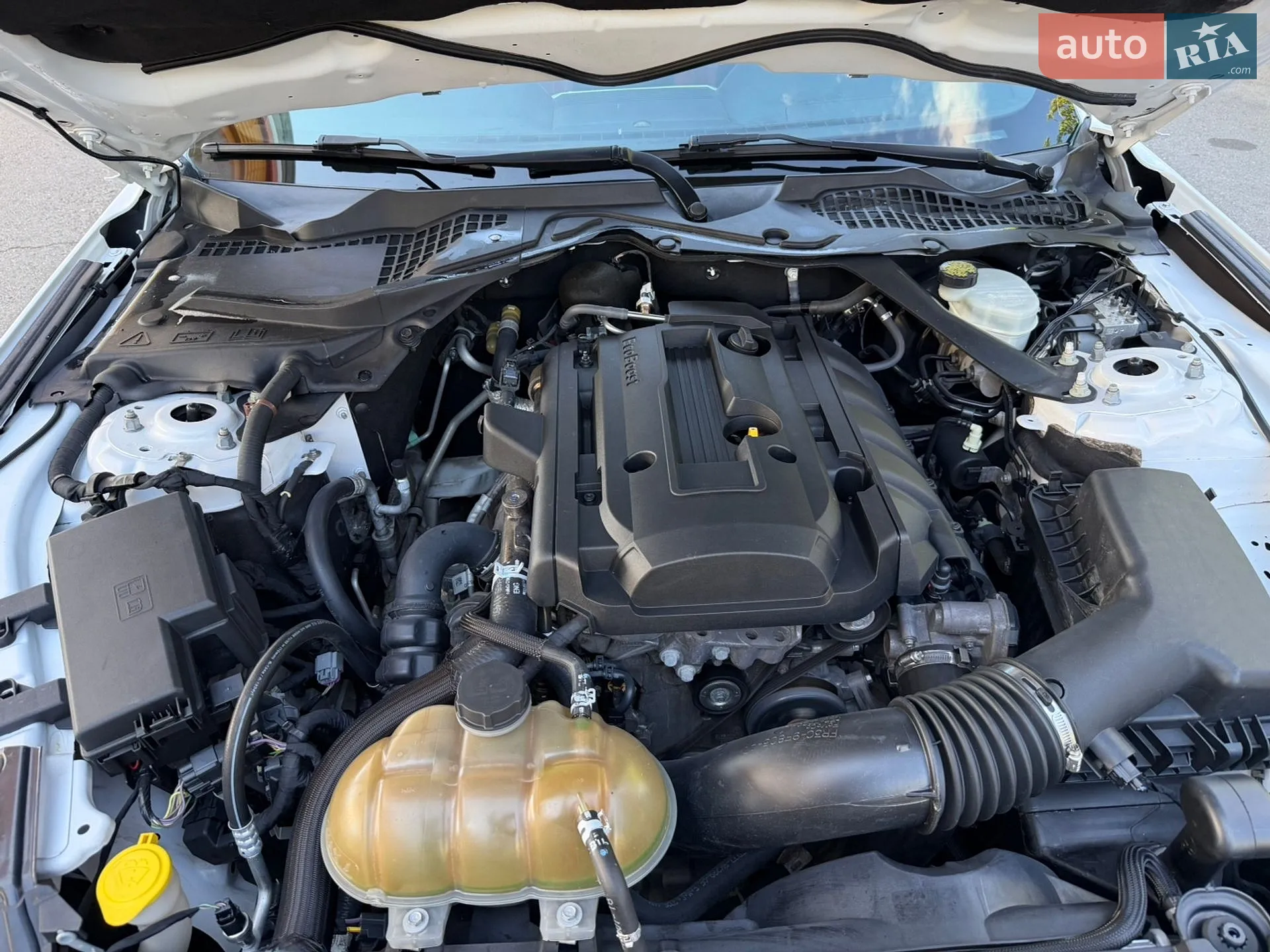 2015 Ford Mustang - мініатюра 11