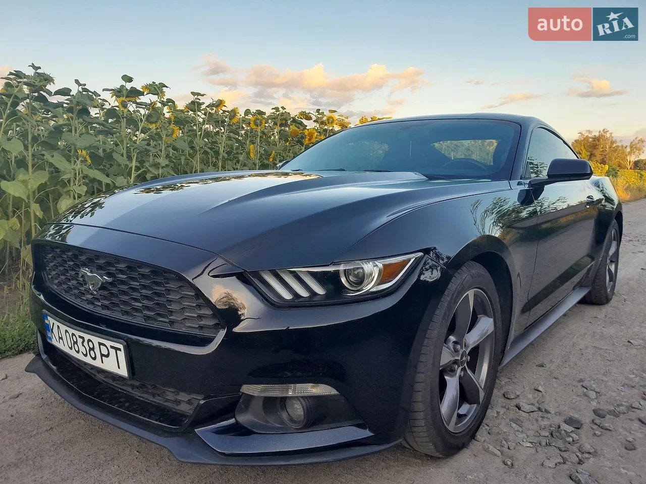 2017 Ford Mustang - мініатюра 12