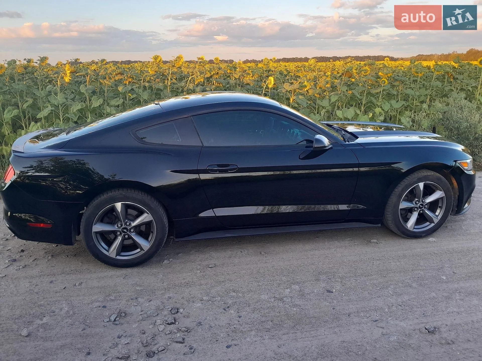 2016 Ford Mustang - мініатюра 15
