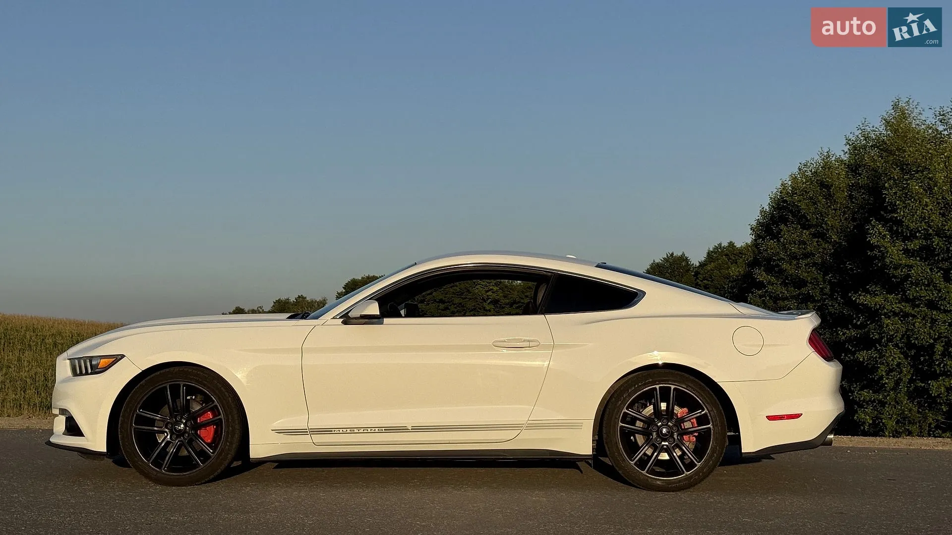 2016 Ford Mustang - мініатюра 8