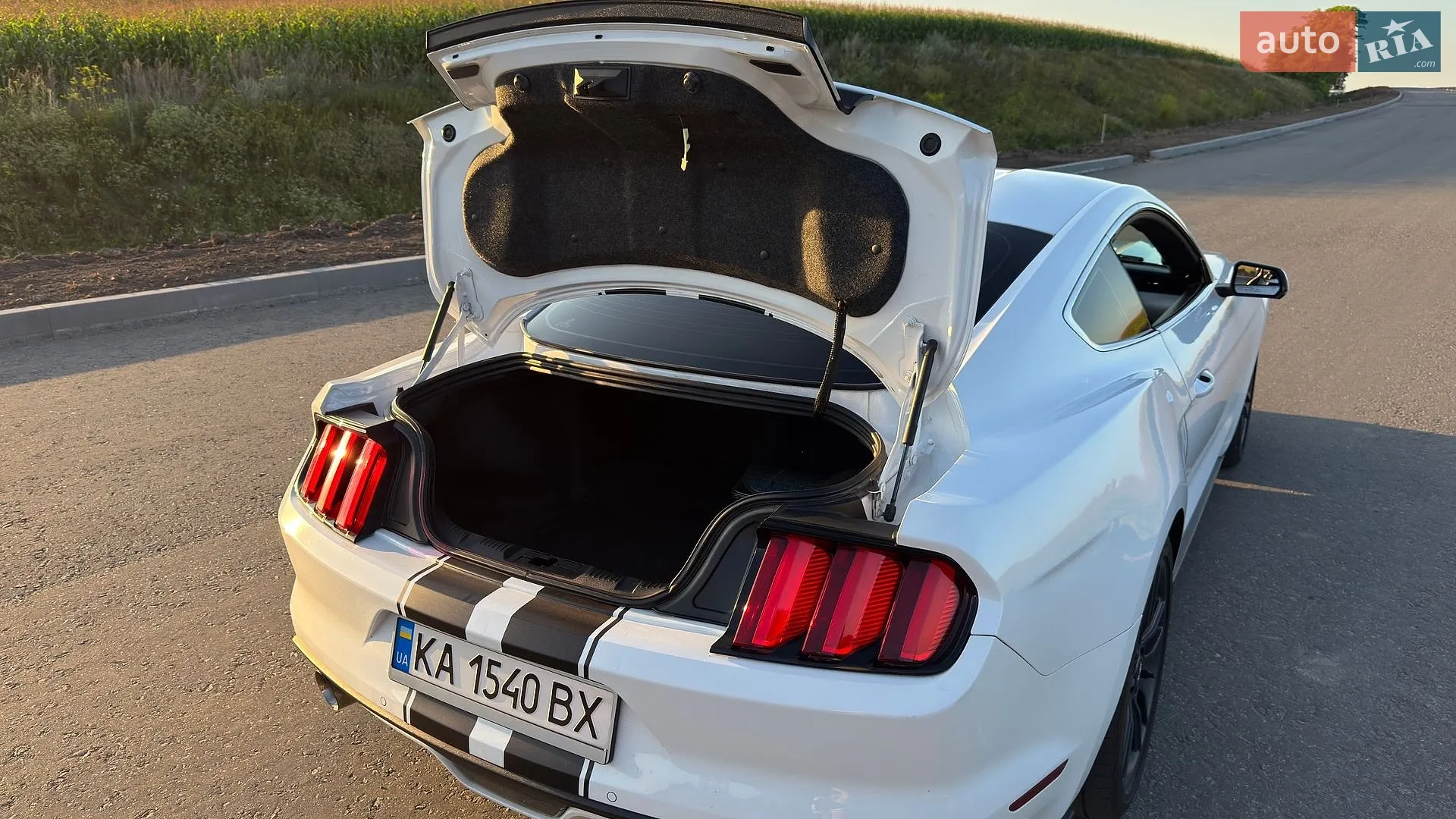 2016 Ford Mustang - мініатюра 13