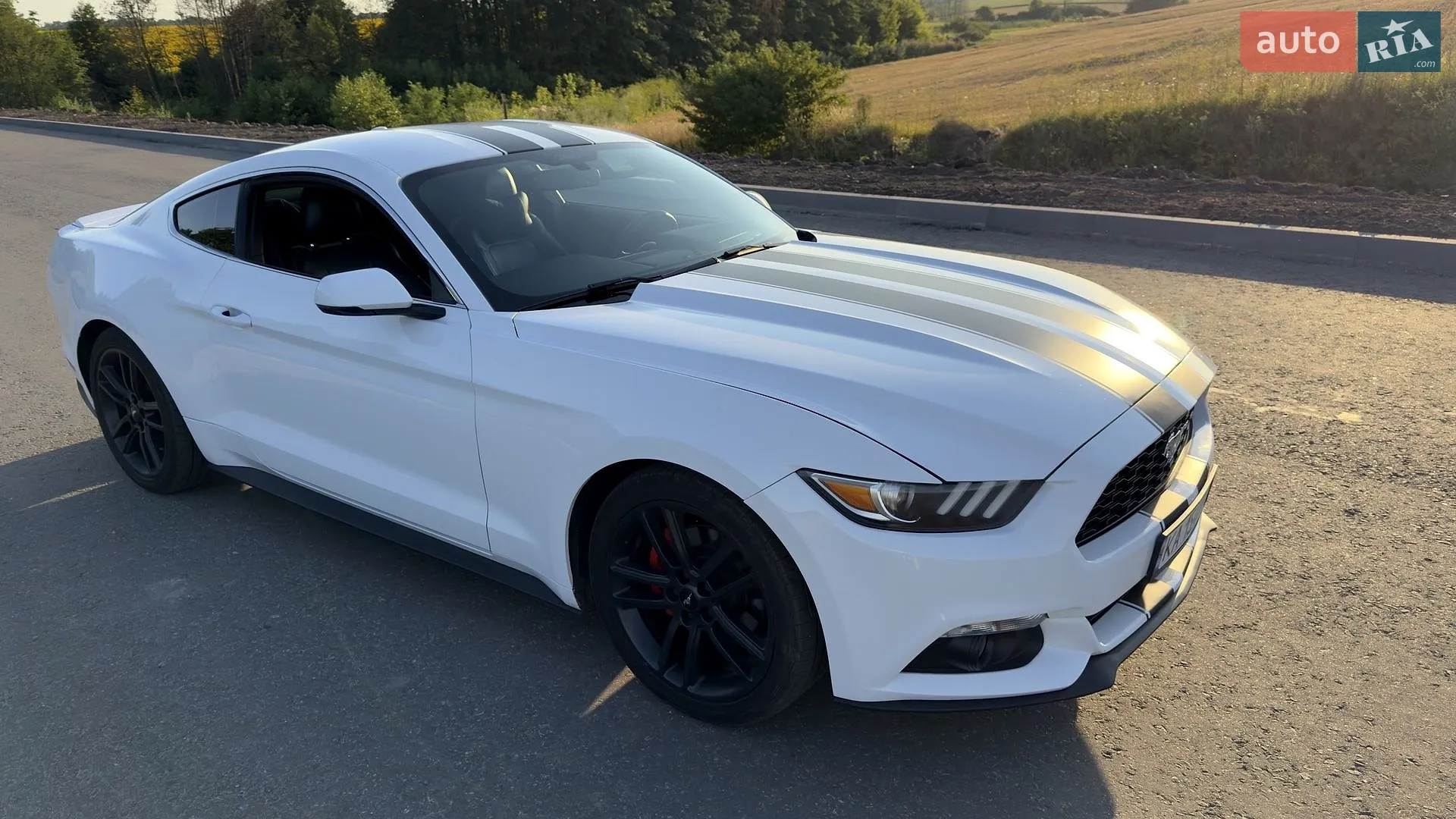 2016 Ford Mustang - мініатюра 4