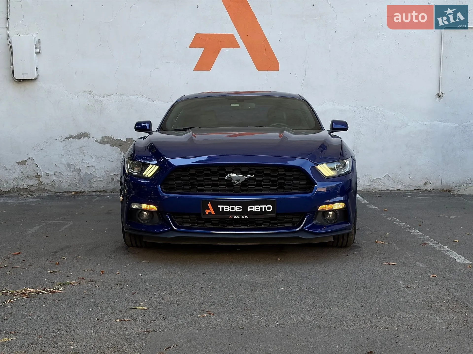 2015 Ford Mustang - мініатюра 2