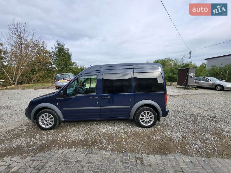 Минивэн Ford Tourneo Connect 2010 в Залещиках