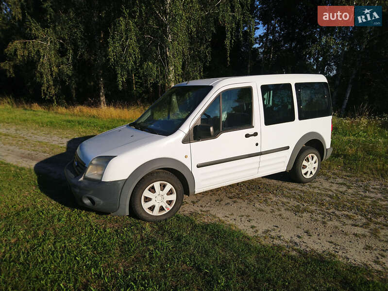 Минивэн Ford Tourneo Connect 2010 в 