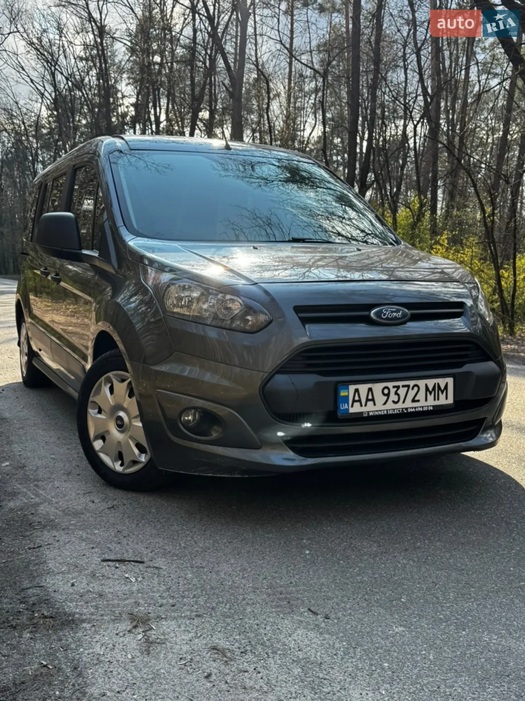 2018 Ford Tourneo Connect - мініатюра 3