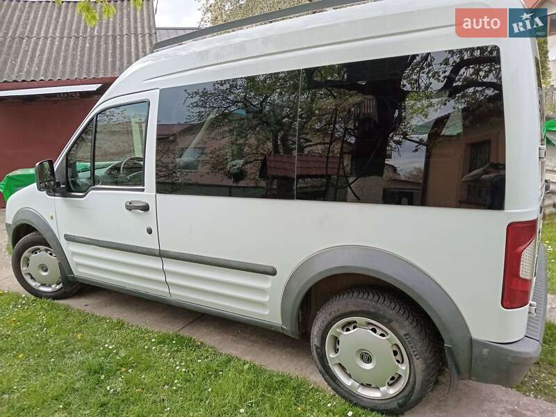 Мінівен Ford Transit Connect 2010 в Винниках