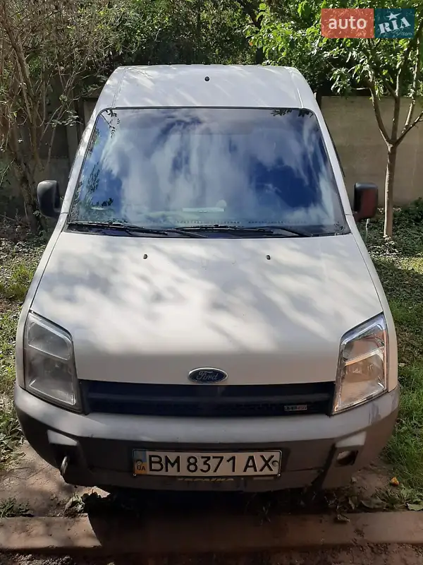 Ford Transit Connect 2006