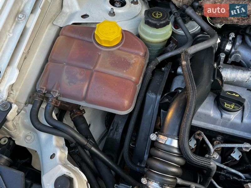 Мінівен Ford Transit Connect 2005 в Чернівцях фото 11 Мінівен Ford Transit Connect 2005 в Чернівцях