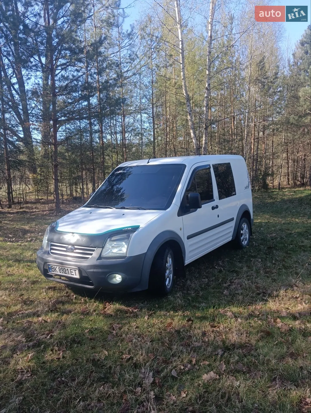 2010 Ford Transit Connect - мініатюра 3