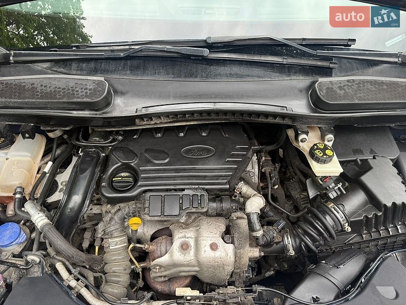 Минивэн Ford Transit Connect 2019 в Гайвороне