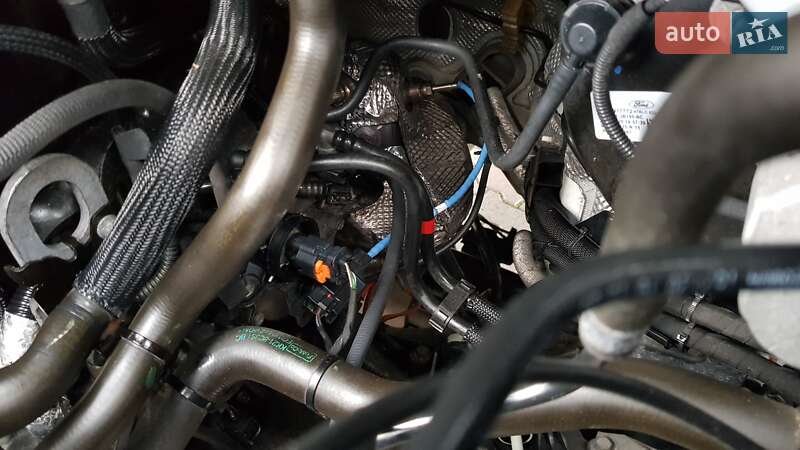 Вантажний фургон Ford Transit Custom 2020 в Вінниці фото 41 Вантажний фургон Ford Transit Custom 2020 в Вінниці