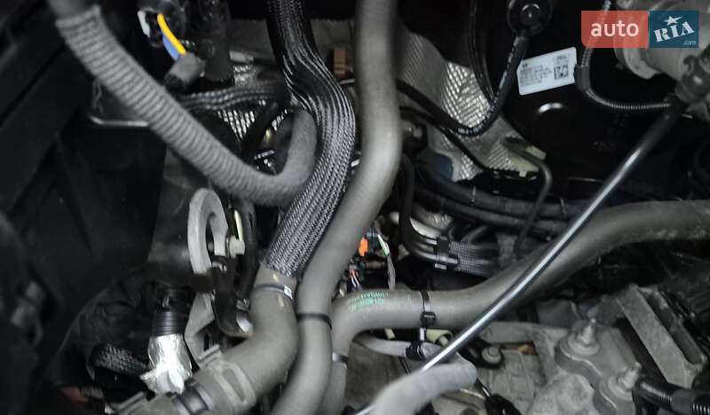 Мінівен Ford Transit Custom 2019 в Києві фото 44 Мінівен Ford Transit Custom 2019 в Києві