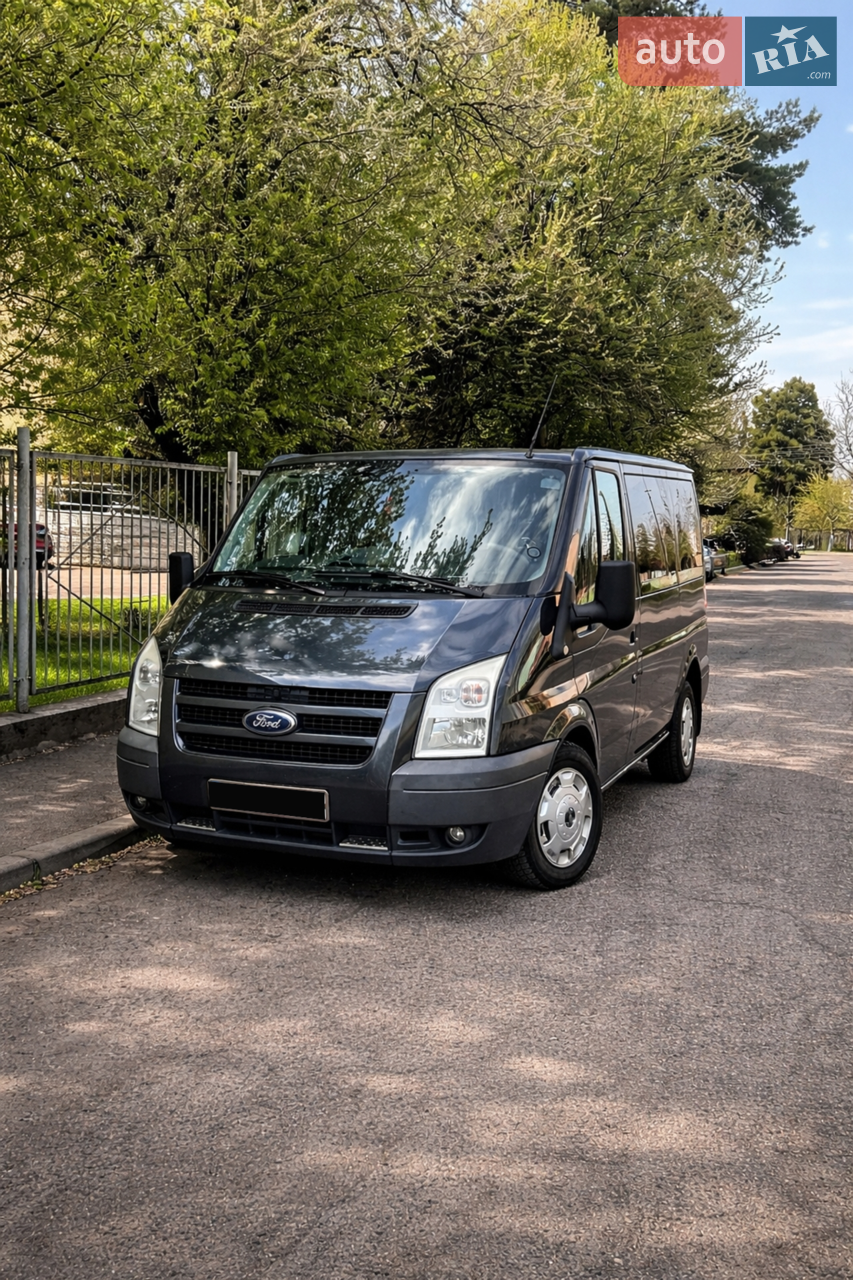 2010 Ford Transit Connect - мініатюра 13