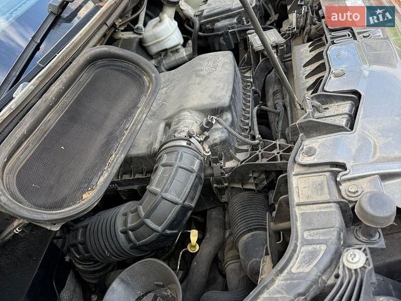 Мікроавтобус вантажний (до 3,5т) Ford Transit 2020 в Житомирі фото 10 Мікроавтобус вантажний (до 3,5т) Ford Transit 2020 в Житомирі