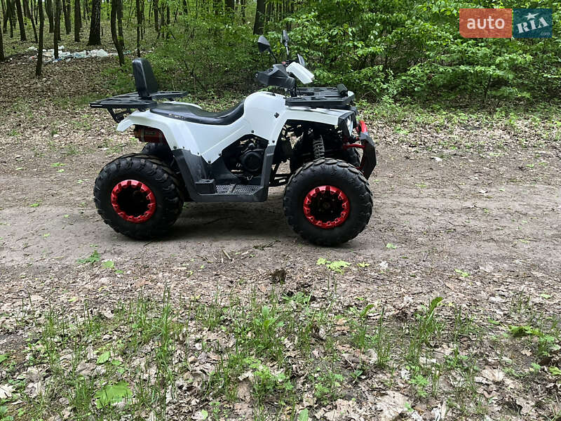 Квадроцикл  утилитарный Forte Braves 200 2020 в Теофиполе