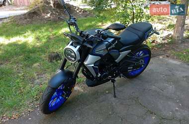 Мотоцикл Без обтікачів (Naked bike) Forte FT 250-CKP 2024 в 