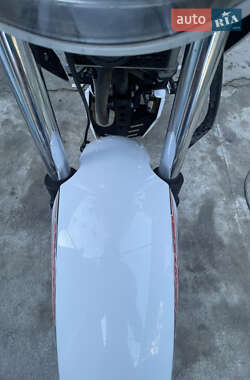 Мотоцикл Без обтекателей (Naked bike) Geon Pantera 250 2024 в 