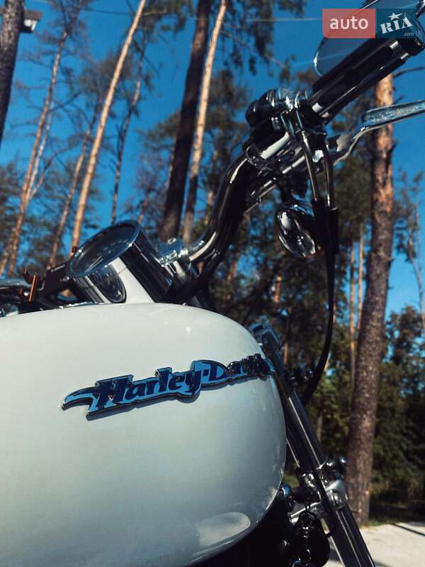 Мотоцикл Кастом Harley-Davidson 1200C Sportster Custom 2005 в Катюжанці