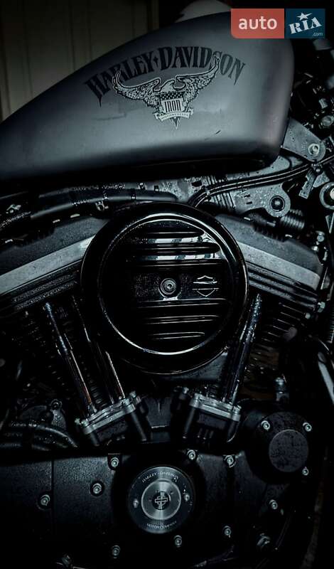 Harley-Davidson XL 883N 2016