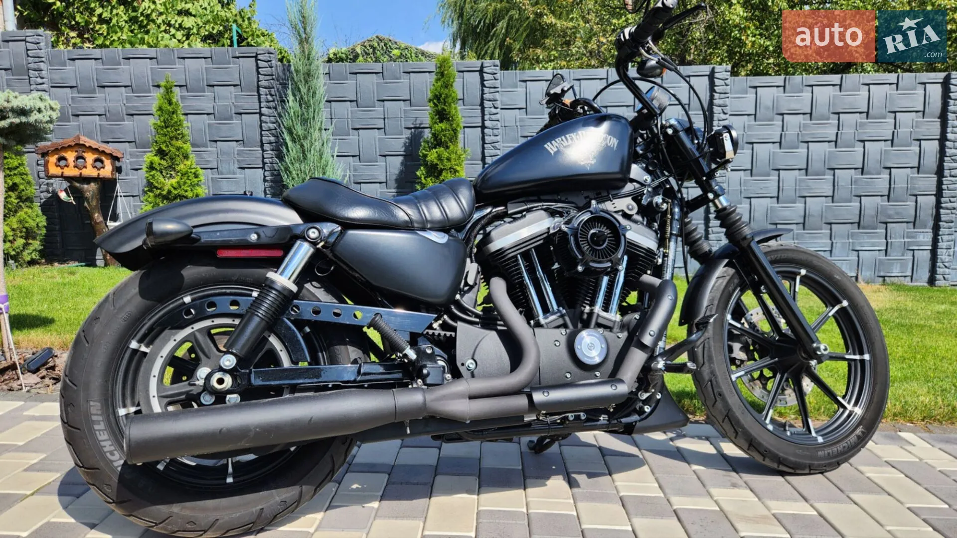 Harley-Davidson XL 883N 2017 VIN 1HD4LE239HC437856 фото оголошення 12 з 22
