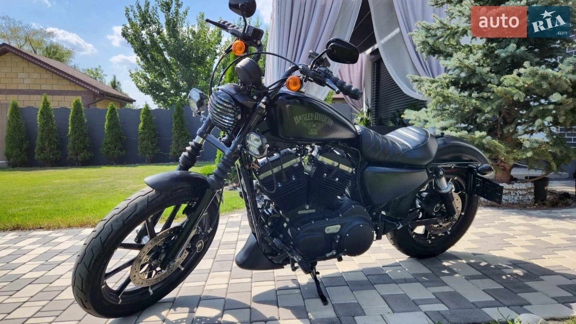 Harley-Davidson XL 883N 2017 VIN 1HD4LE239HC437856 фото оголошення 14 з 22