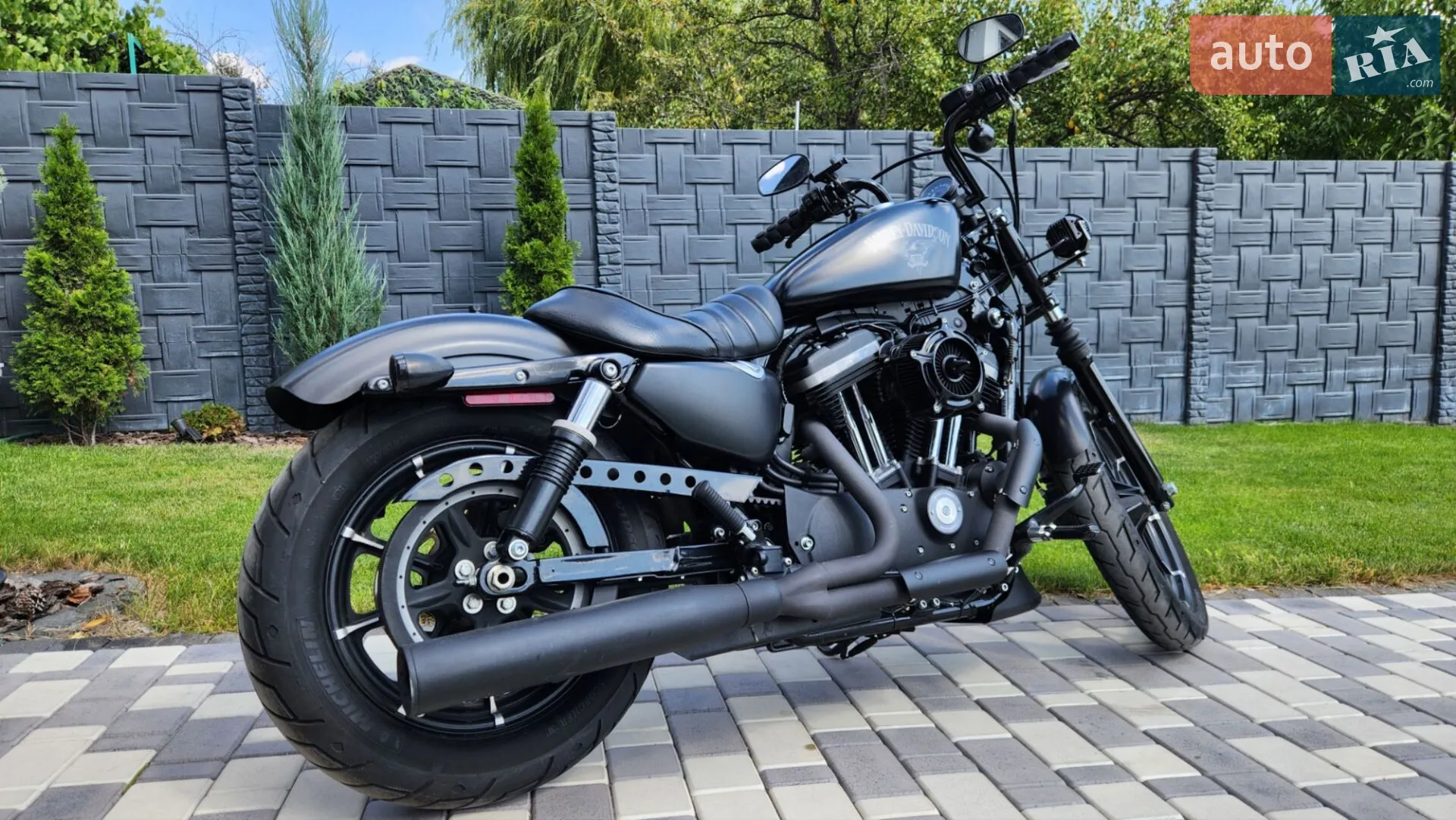 Harley-Davidson XL 883N 2017 VIN 1HD4LE239HC437856 фото оголошення 13 з 22