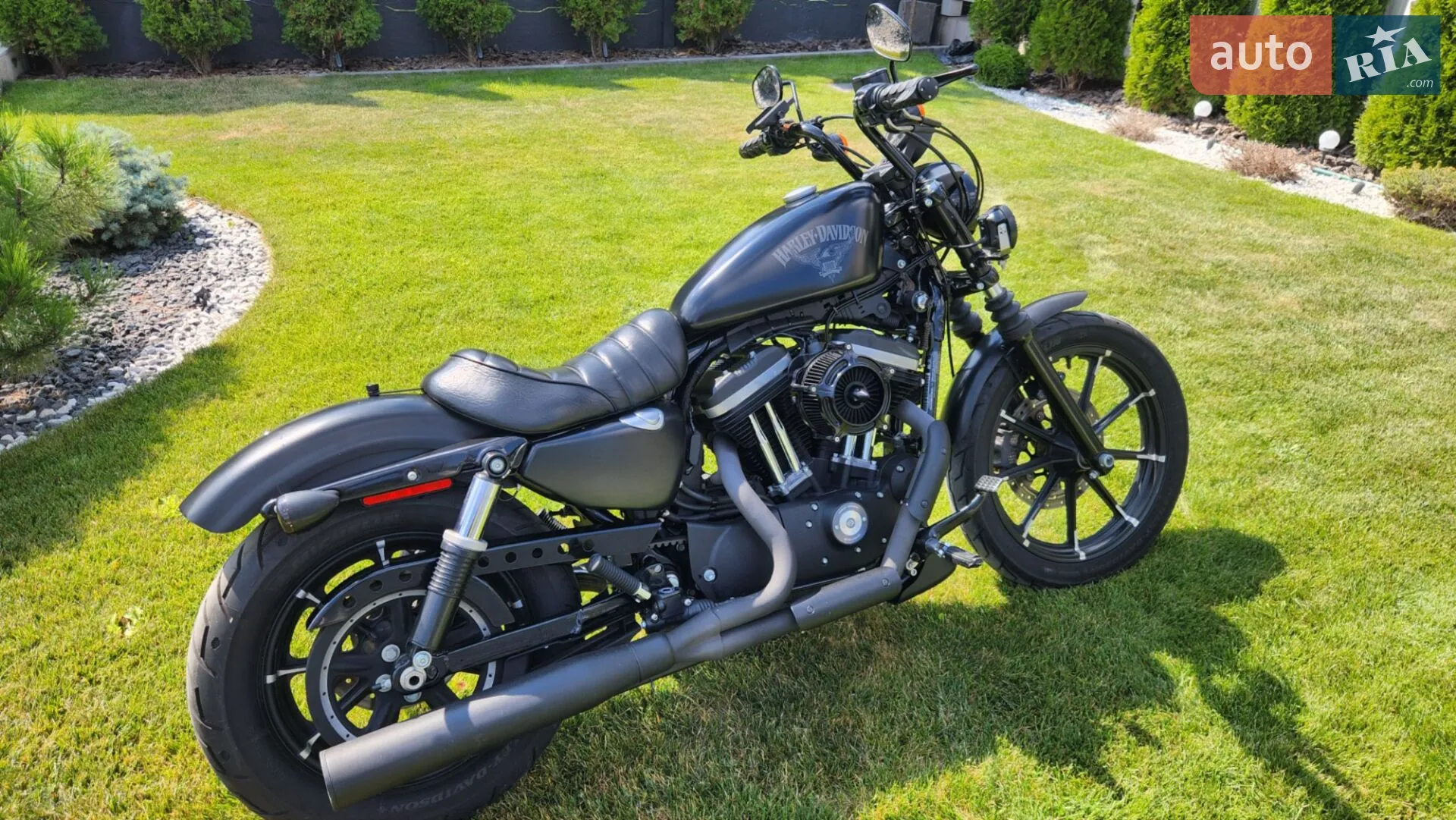 Harley-Davidson XL 883N 2017 VIN 1HD4LE239HC437856 фото оголошення 8 з 22