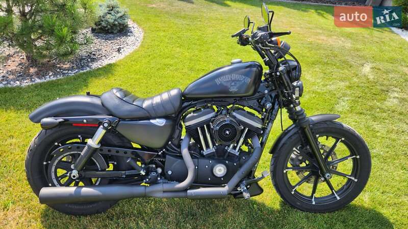 Мотоцикл Классик Harley-Davidson XL 883N 2017 в 