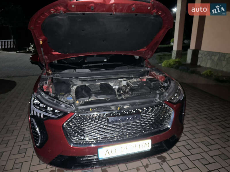 Внедорожник / Кроссовер Haval Jolion 2022 в Рахове