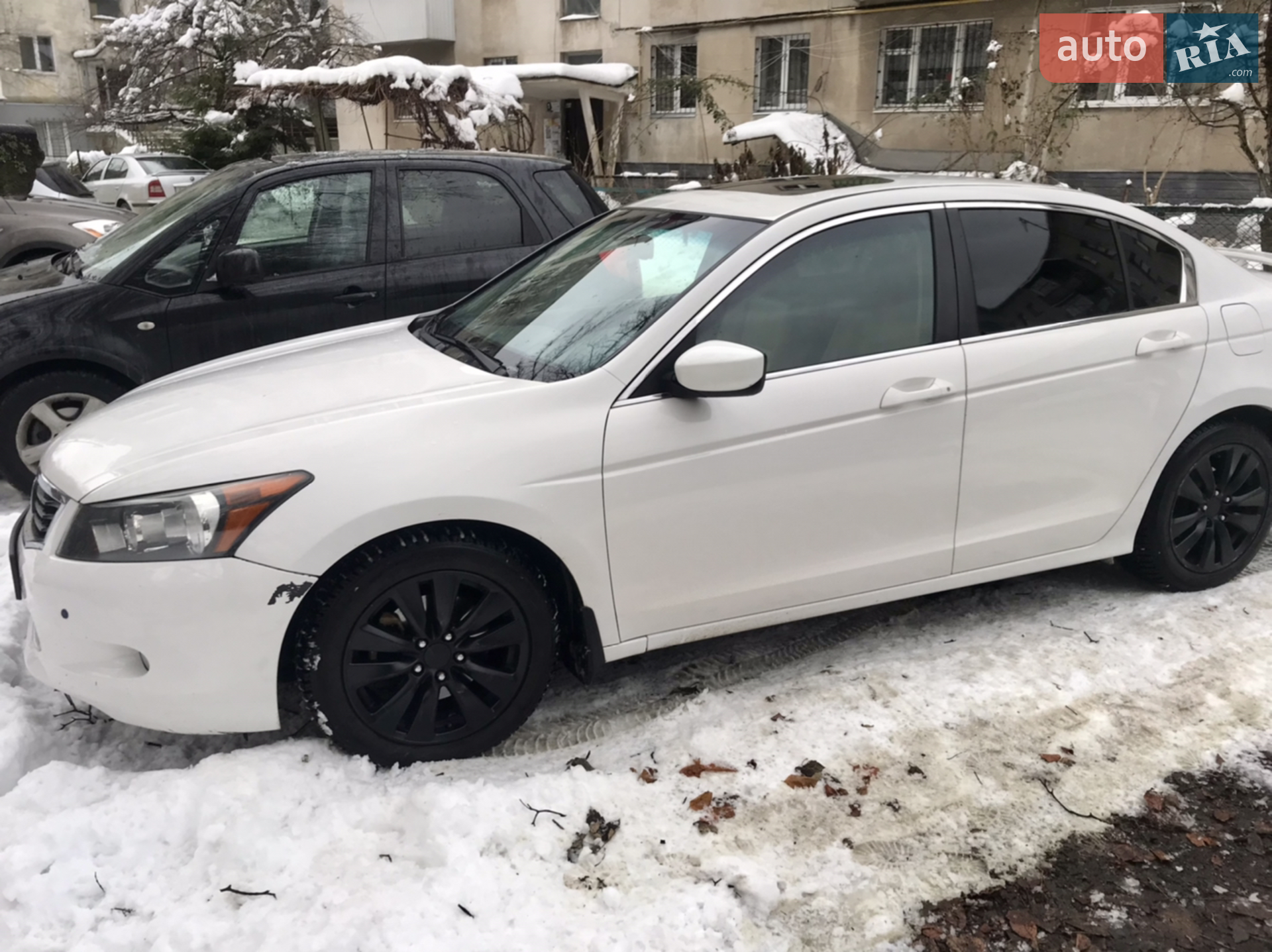 2010 Honda Accord - мініатюра 2