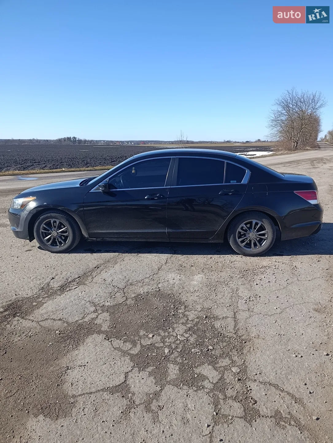 2010 Honda Accord - мініатюра 4