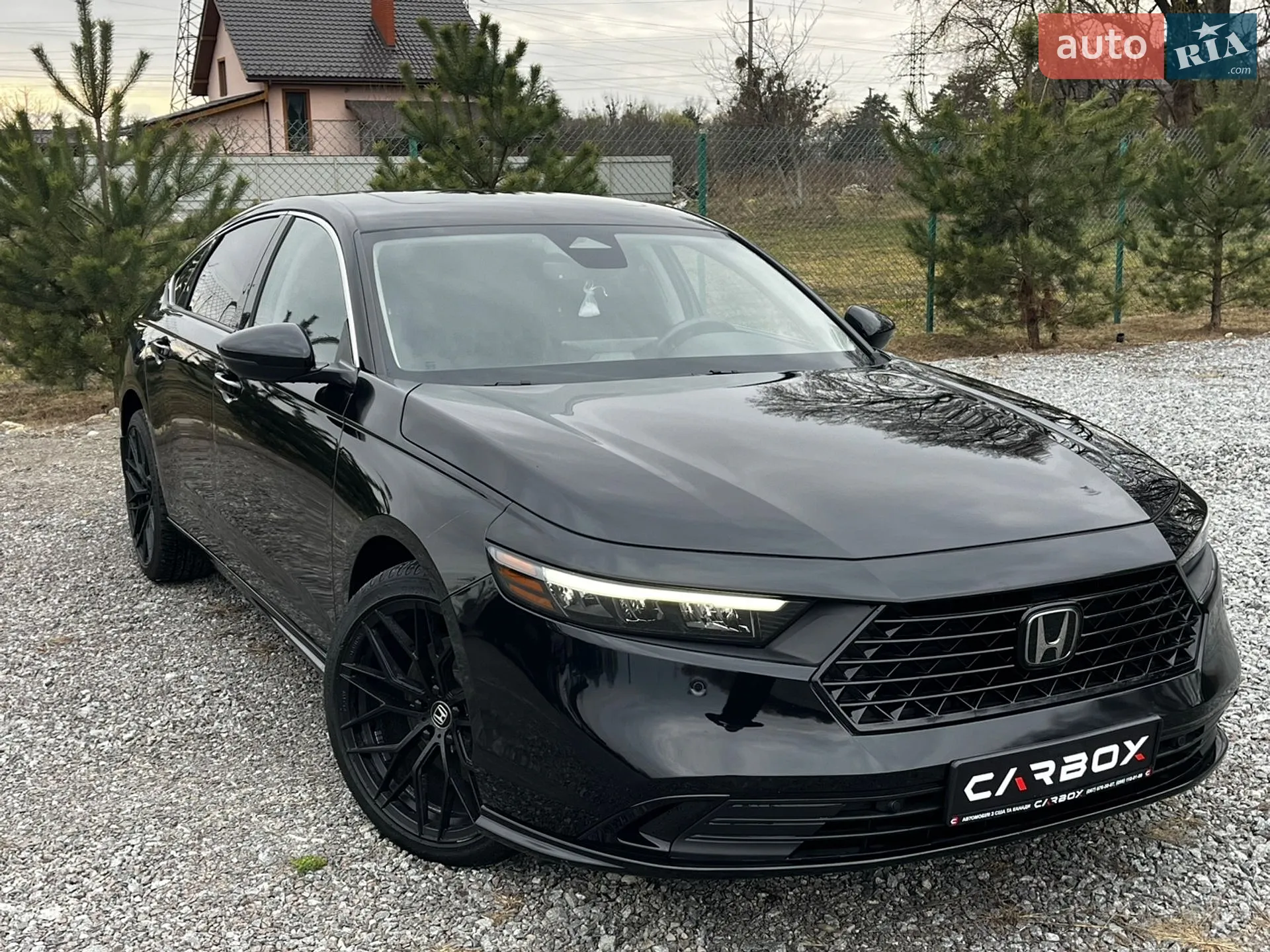 2023 Honda Accord - фото 1