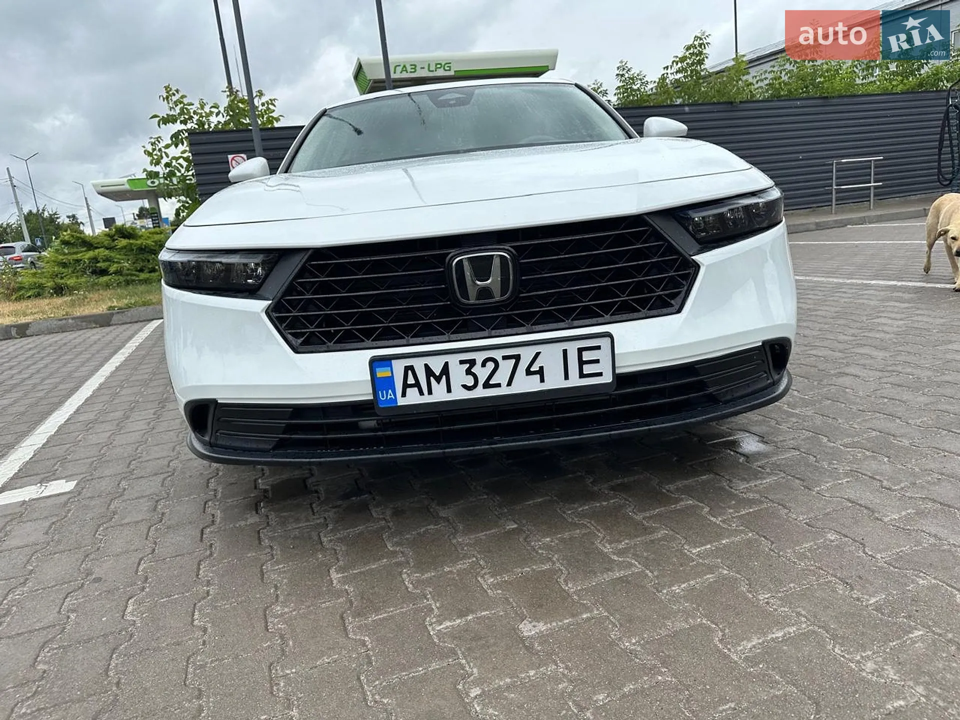 2024 Honda Accord - мініатюра 12