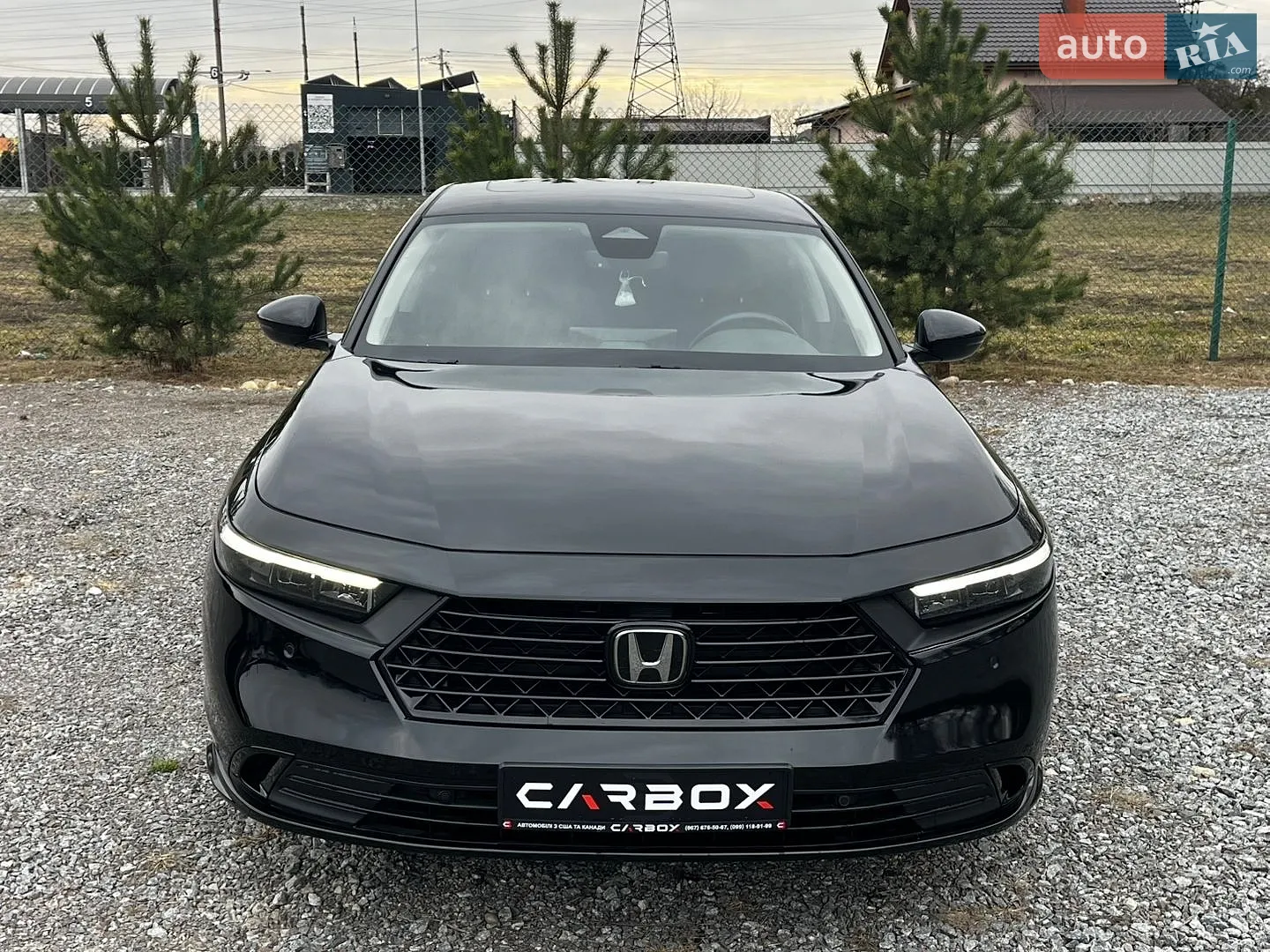 2023 Honda Accord - фото 1