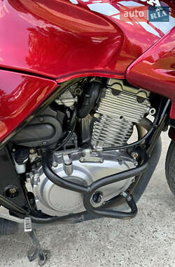 Мотоцикл Без обтекателей (Naked bike) Honda CB 500 1996 в 