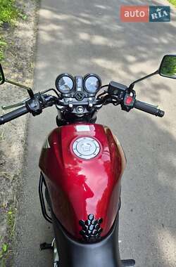 Мотоцикл Без обтекателей (Naked bike) Honda CBF 500 2006 в 