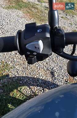 Скремблер Honda CL 250 2023 в  фото 2 Скремблер Honda CL 250 2023 в