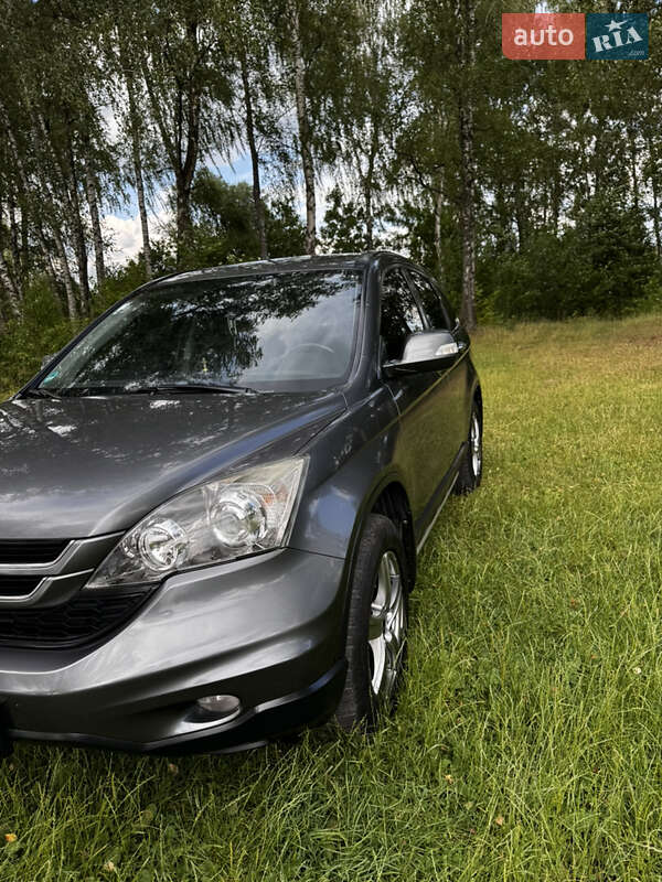 Внедорожник / Кроссовер Honda CR-V 2010 в Радивилове