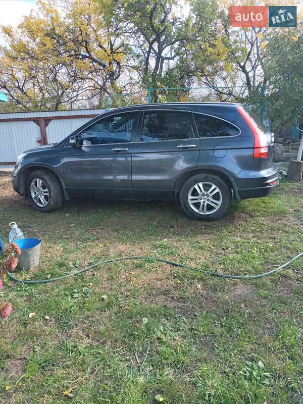 Внедорожник / Кроссовер Honda CR-V 2010 в Александрие фото 2 Внедорожник / Кроссовер Honda CR-V 2010 в Александрие