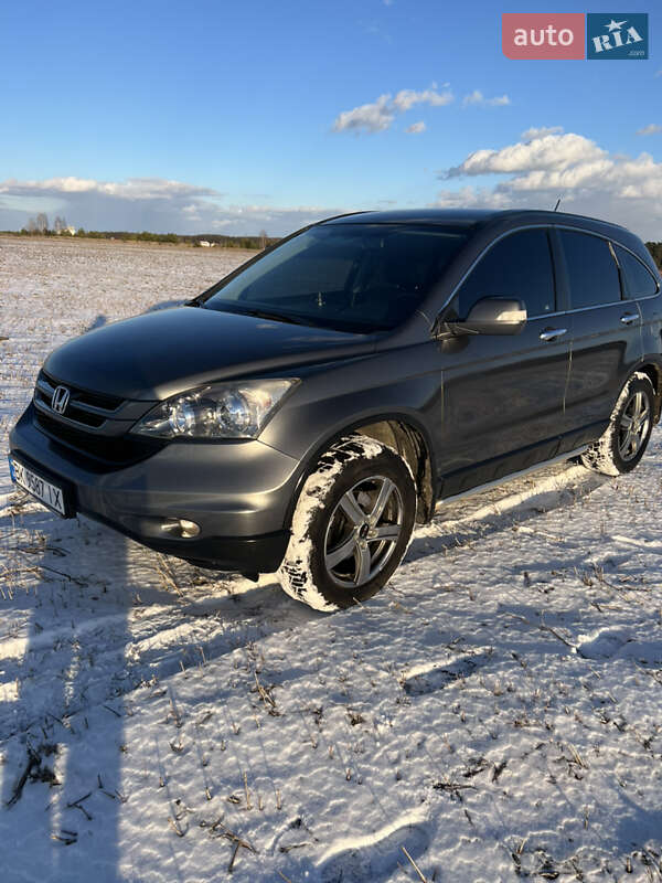 Внедорожник / Кроссовер Honda CR-V 2010 в Радивилове