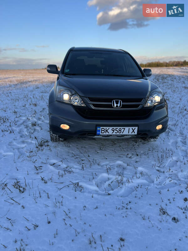 Внедорожник / Кроссовер Honda CR-V 2010 в Радивилове