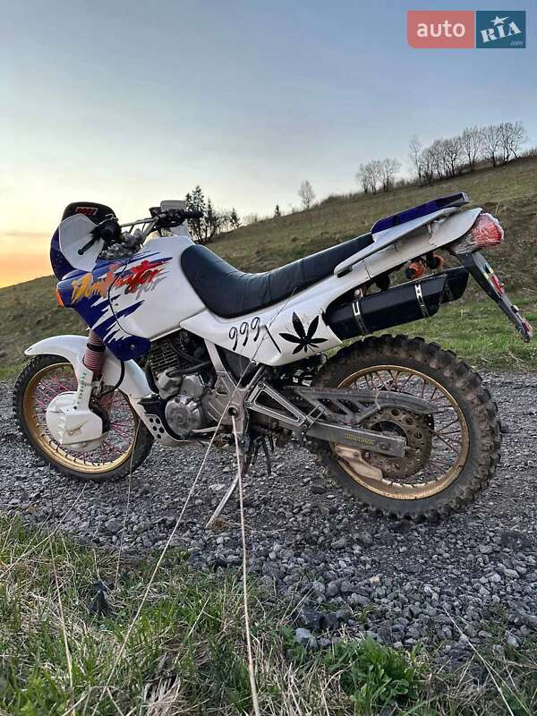 Мотоцикл Позашляховий (Enduro) Honda NX 650 Dominator 1996 в Міжгір'ї