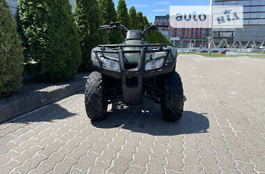 Квадроцикл  утилитарный Honda TRX 250TM 2013 в Львове