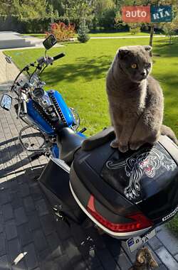 Мотоцикл Круизер Honda VT 750C 2013 в  фото 8 Мотоцикл Круизер Honda VT 750C 2013 в