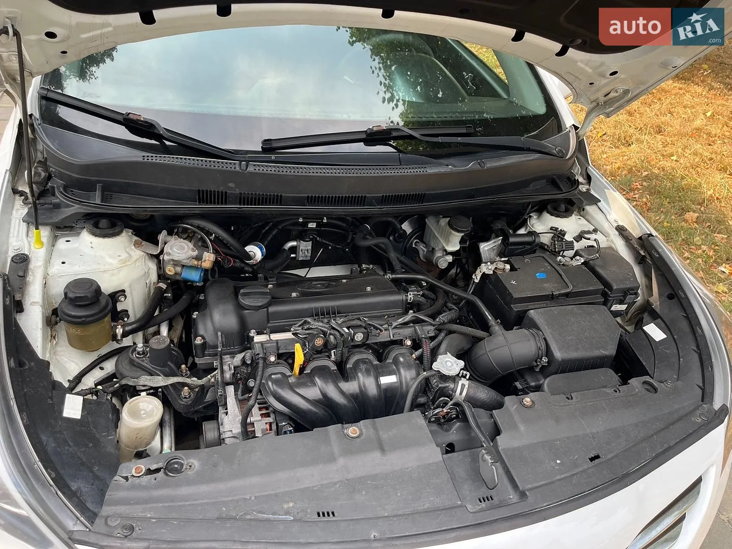 2016 Hyundai Accent - мініатюра 8
