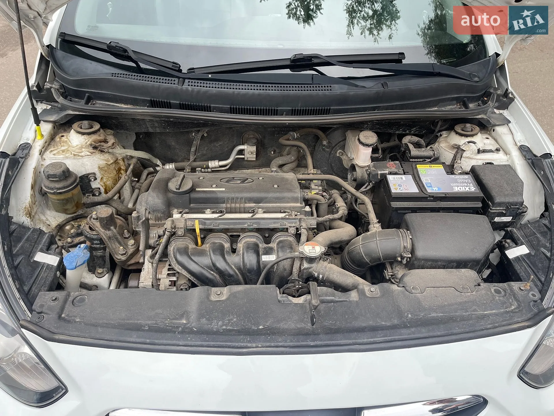 2013 Hyundai Accent - мініатюра 6